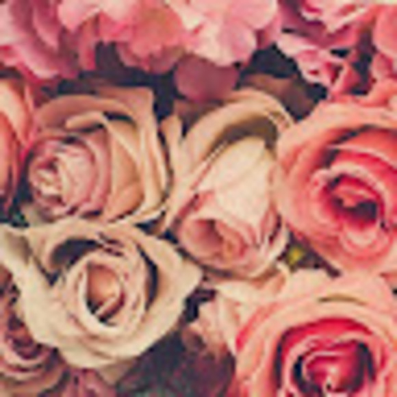 Meet your Posher, Wendy - Picture 1 of 1